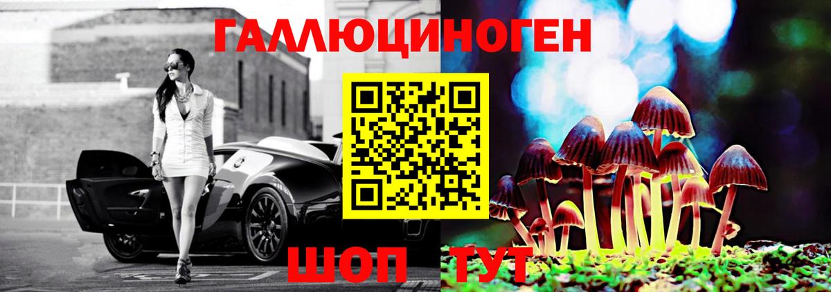 Псилоцибиновые грибы ЛСД  что такое   Воронеж  Вход с VPN 